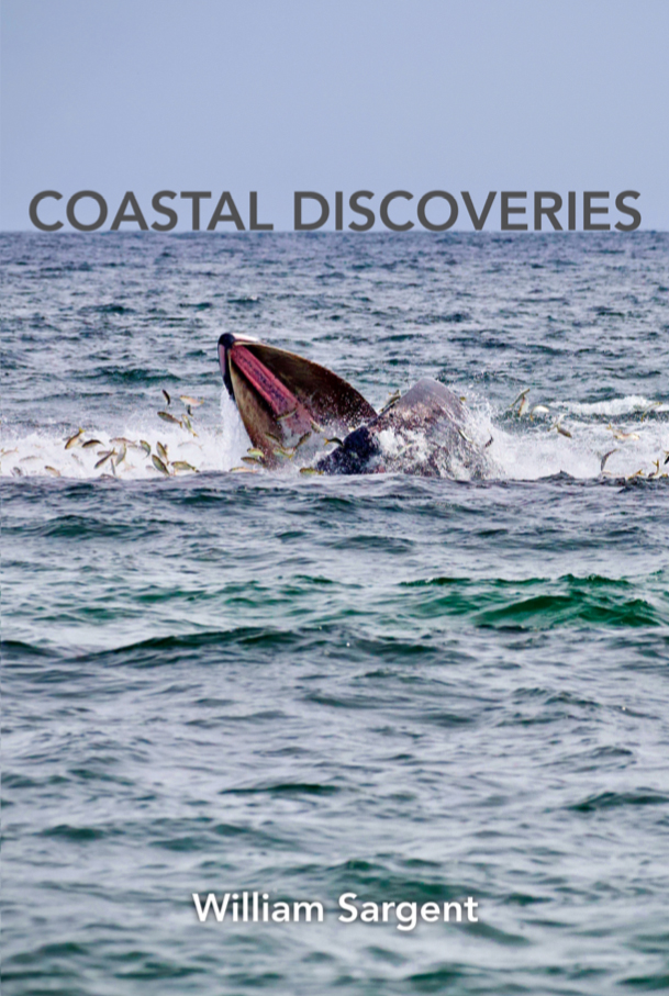 “Coastal Discoveries” by Bill Sargent
