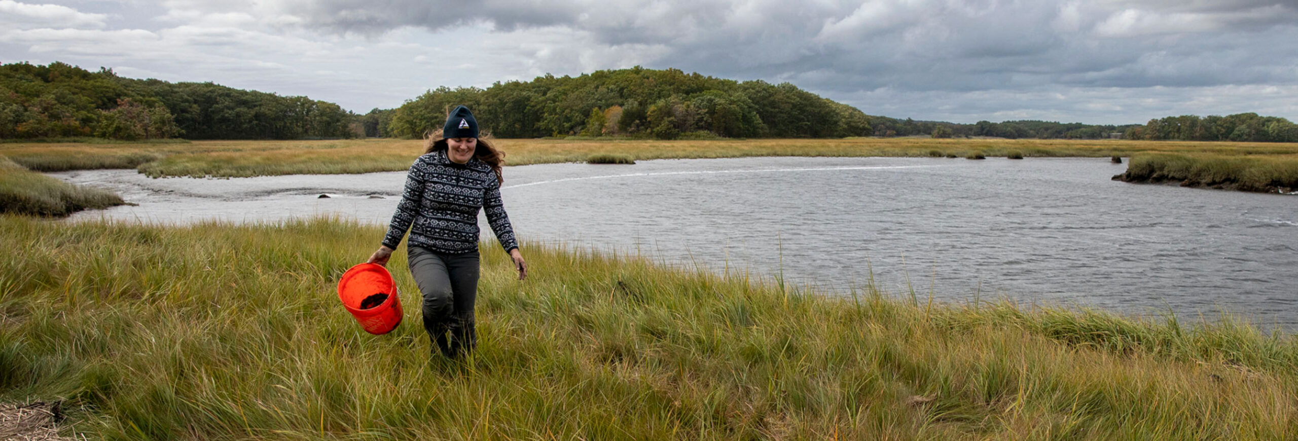 How a Little Mussel Could Help Save a Merrimack River Salt Marsh