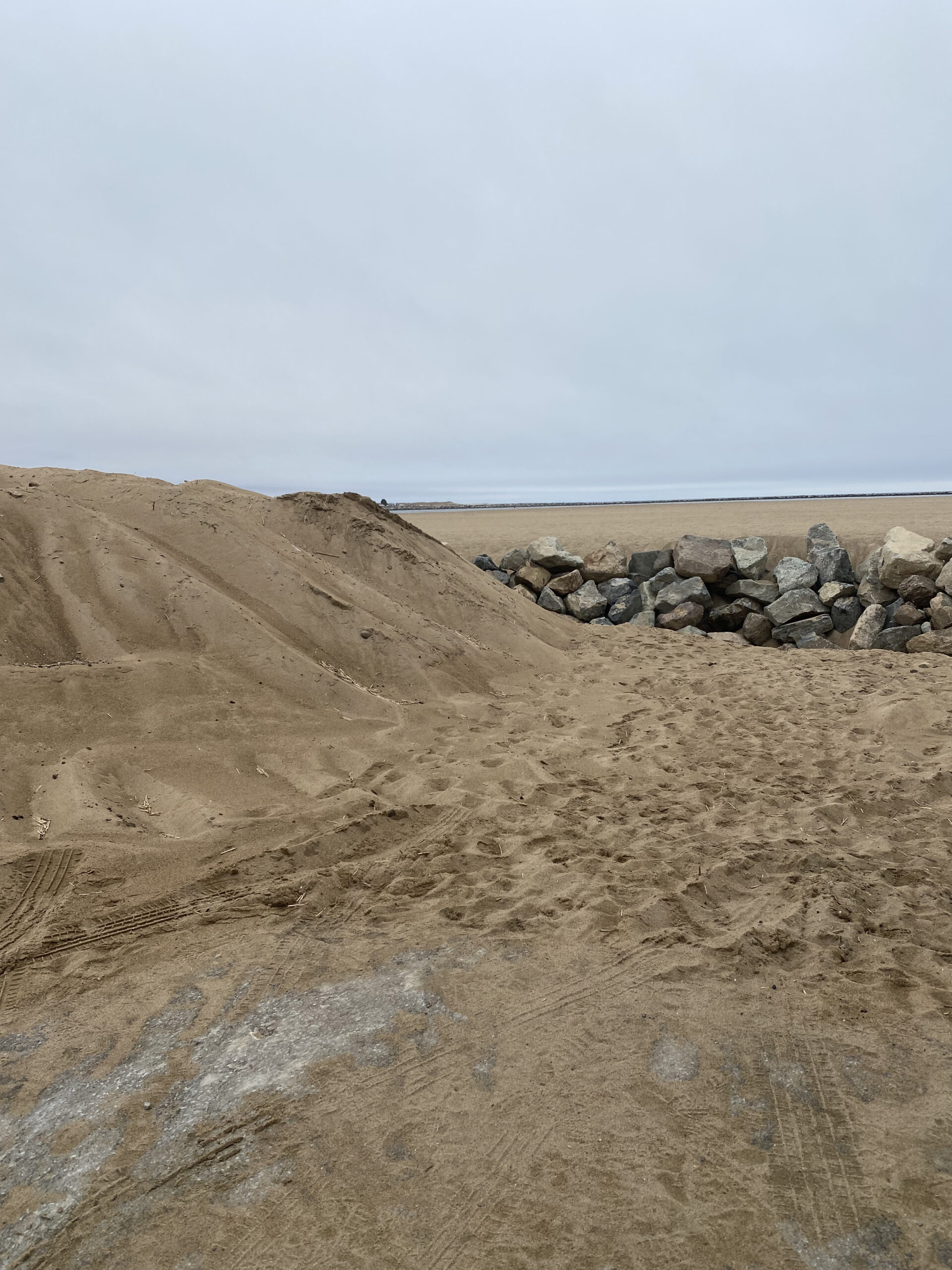 Put Sand Dunes on Plum Island’s New Beach